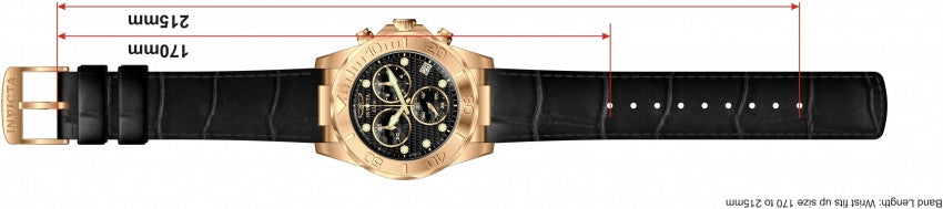 Image Band for Invicta Pro Diver 1723