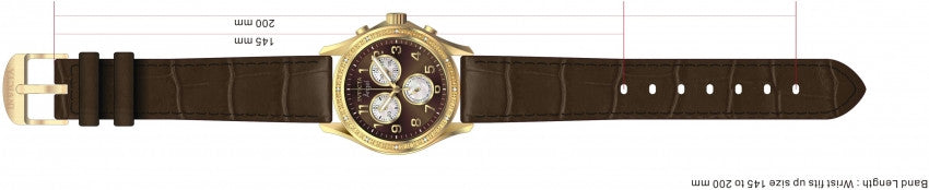 Image Band for Invicta Angel 0580