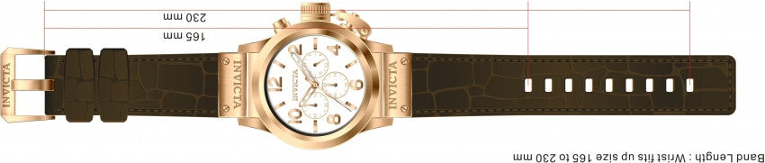 Image Band for Invicta Corduba 1146