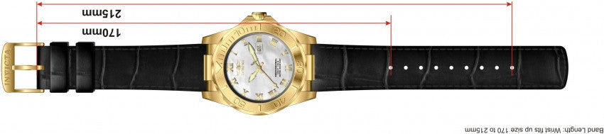 Image Band for Invicta Pro Diver 1710