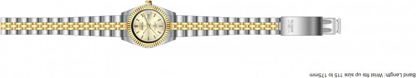 Image Band for Invicta Specialty 8955