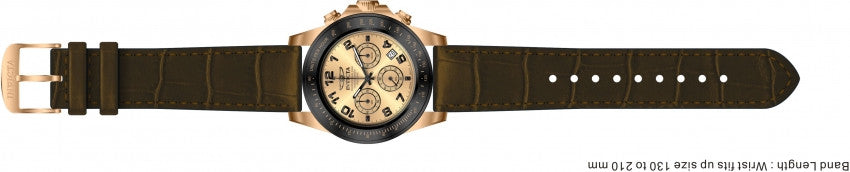 Image Band for Invicta Speedway 10711